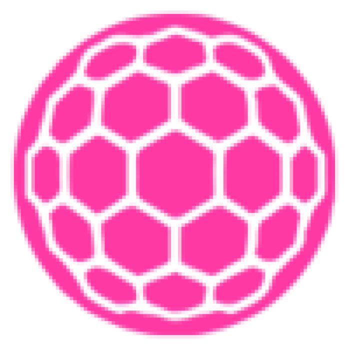 100px-Ability-zarya2